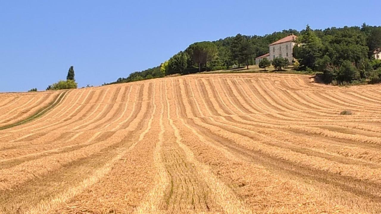 La Maison De Maitre Sainte-Livrade-sur-Lot Exteriér fotografie